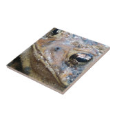 Totenfläche Fliese (Seite)