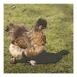 Totenhühner Fotodruck