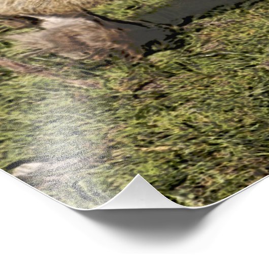 Totenhühner Fotodruck (Ecke)