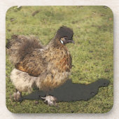 Totenhühner Getränkeuntersetzer (Vorderseite)