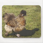 Totenhühner Mousepad (Vorne)