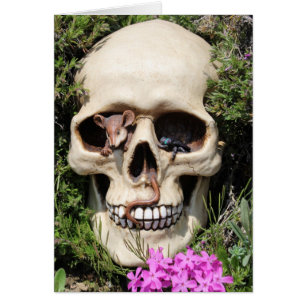 Totenkopf - Gothic / Karte