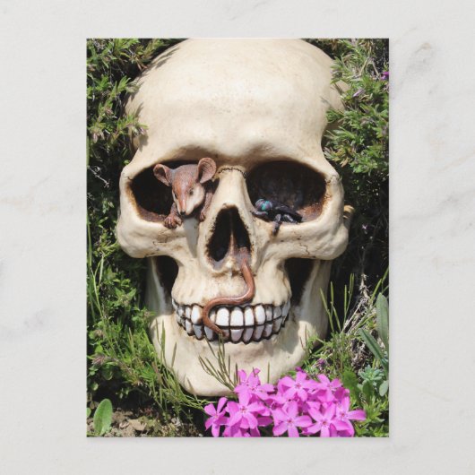 Totenkopf - Gotik / Postkarte (Vorderseite)