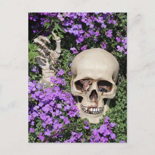 Totenkopf - Gotik / Postkarte (Vorderseite)