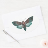 Totenkopf-Hawkmoth Ovaler Aufkleber (Umschlag)