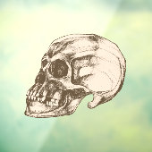 Totenkopf & Knochen Halloween Fensteraufkleber (Blatt 3)