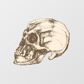 Totenkopf & Knochen Halloween Fensteraufkleber (Blatt)