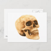 Totenkopf Schädel Postkarte (Vorne/Hinten)