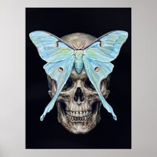 Totenkopf und Mondnachtfalter — Memento Mori Impas Poster