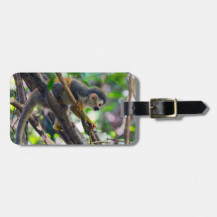 Totenkopfaffe in Manuel Antonio NP - Costa Rica Gepäckanhänger