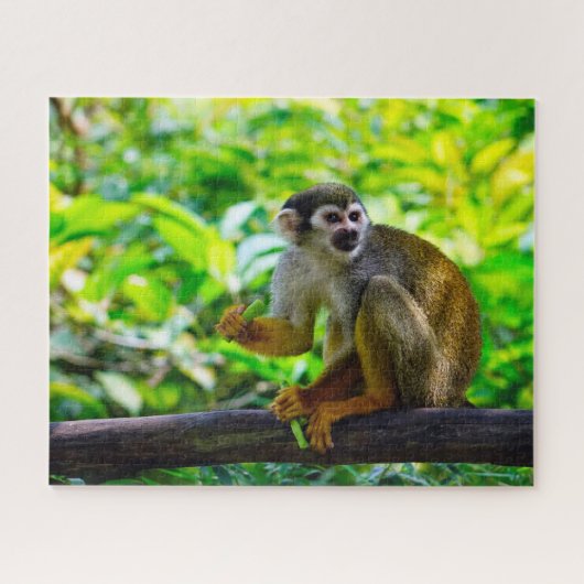 Totenkopfaffe. Puzzle (Horizontal)