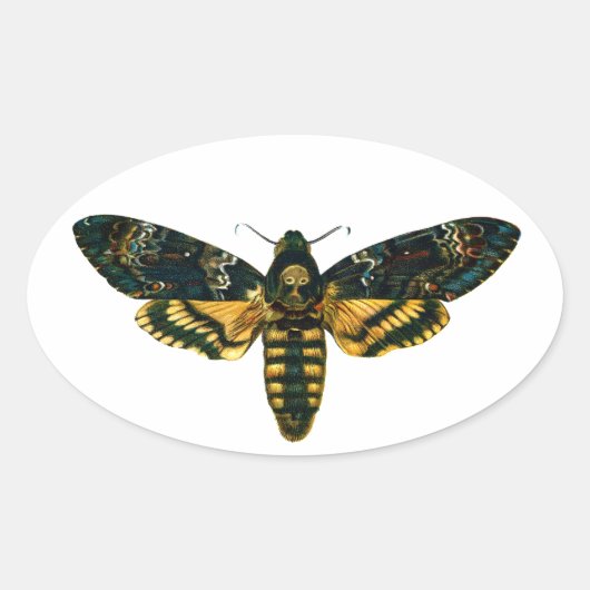 Totenkopfmoth Ovaler Aufkleber (Vorderseite)