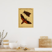 Totenkopfmoth Poster (Küche)