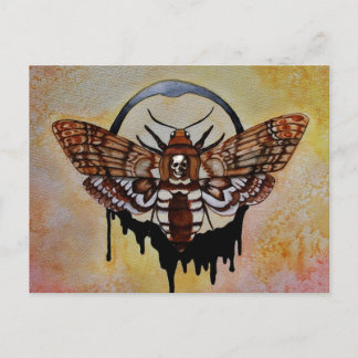 Totenkopfmoth Postkarte