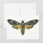 Totenkopfmotte, große Motte, Motordrucke Postkarte (Vorne/Hinten)