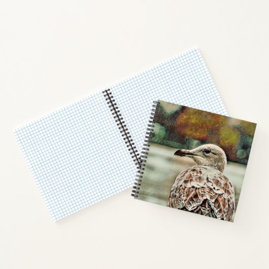 Totenkopfmöwe Notizblock (Innenseite)