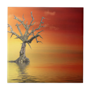 Toter Baum bei Sonnenaufgang Fliese