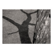 Toter Baum Fotodruck (Vorne)