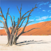 Toter Baum in Deadvlei, Namibia Aufkleber (Vorderseite)