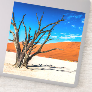 Toter Baum in Deadvlei, Namibia Aufkleber