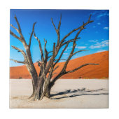 Toter Baum in Deadvlei, Namibia Fliese (Vorderseite)