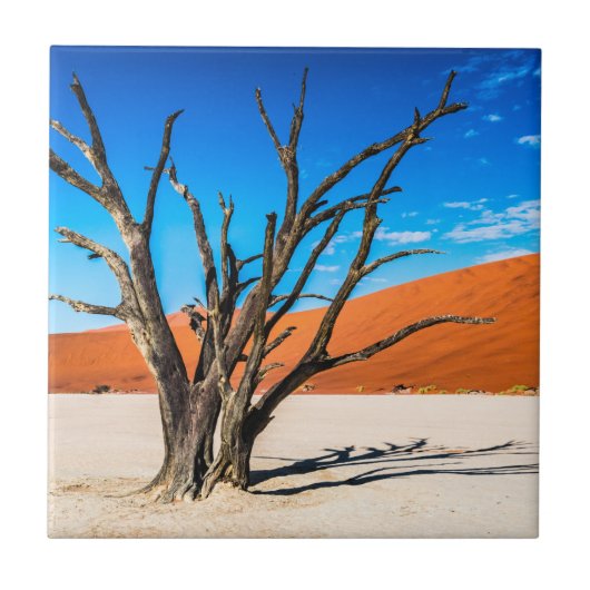 Toter Baum in Deadvlei, Namibia Fliese (Vorderseite)
