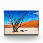 Toter Baum in Deadvlei, Namibia Fotoblock (Vorderseite)
