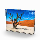 Toter Baum in Deadvlei, Namibia Fotoblock (Rechts)