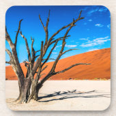 Toter Baum in Deadvlei, Namibia Getränkeuntersetzer (Vorderseite)