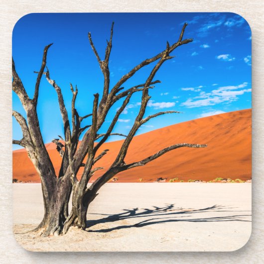 Toter Baum in Deadvlei, Namibia Getränkeuntersetzer (Vorderseite)