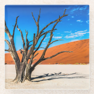 Toter Baum in Deadvlei, Namibia Glasuntersetzer