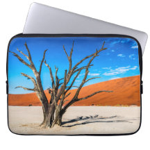 Toter Baum in Deadvlei, Namibia