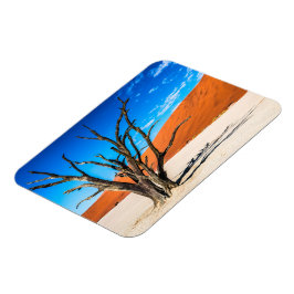 Toter Baum in Deadvlei, Namibia Magnet