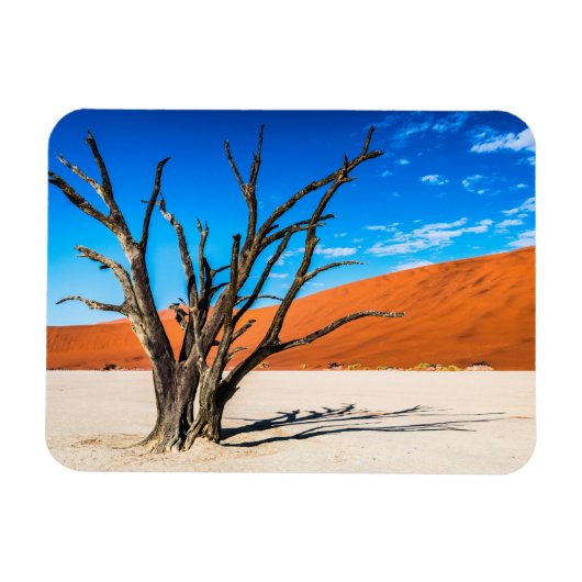 Toter Baum in Deadvlei, Namibia Magnet (Horizontal)