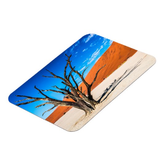 Toter Baum in Deadvlei, Namibia Magnet (Linke Seite)
