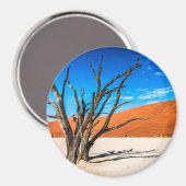 Toter Baum in Deadvlei, Namibia Magnet (Vorderseite/Rückseite)