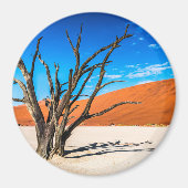 Toter Baum in Deadvlei, Namibia Magnet (Vorne)