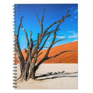 Toter Baum in Deadvlei, Namibia Notizblock