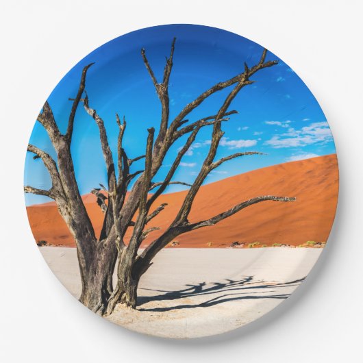 Toter Baum in Deadvlei, Namibia Pappteller (Vorderseite)