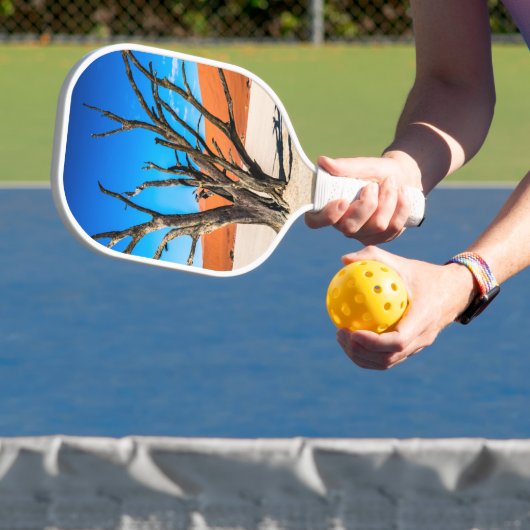 Toter Baum in Deadvlei, Namibia Pickleball Schläger (InSitu)