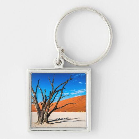 Toter Baum in Deadvlei, Namibia Schlüsselanhänger (Vorne)