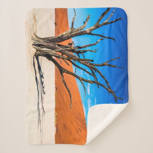 Toter Baum in Deadvlei, Namibia Sherpadecke (Vorderseite)