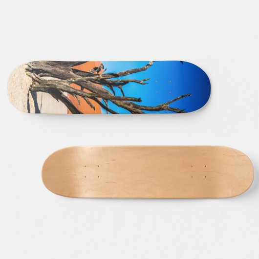 Toter Baum in Deadvlei, Namibia Skateboard (Horizontal)