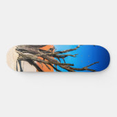 Toter Baum in Deadvlei, Namibia Skateboard (Horizontal)