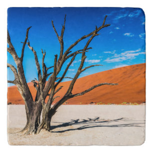 Toter Baum in Deadvlei, Namibia Töpfeuntersetzer