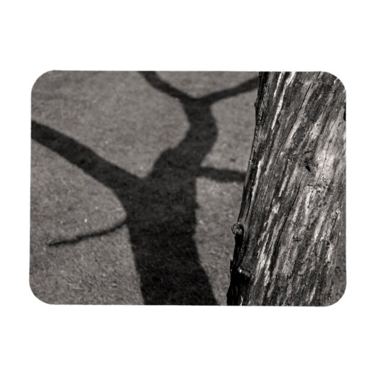 Toter Baum Magnet (Horizontal)