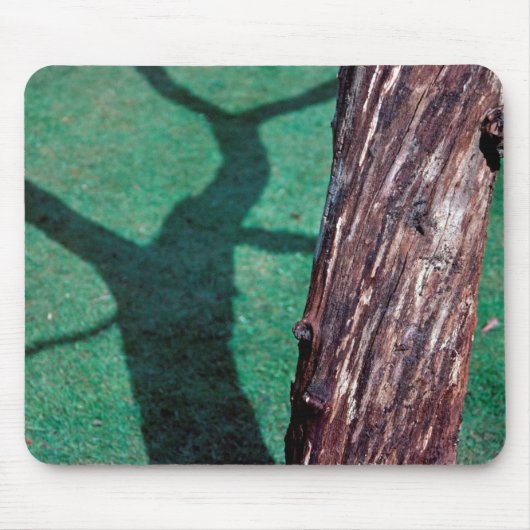 Toter Baum Mousepad (Vorne)