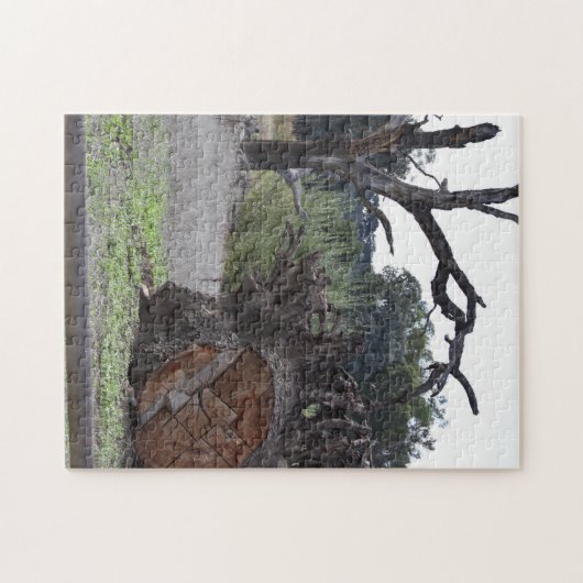 Toter Baum Puzzle (Horizontal)