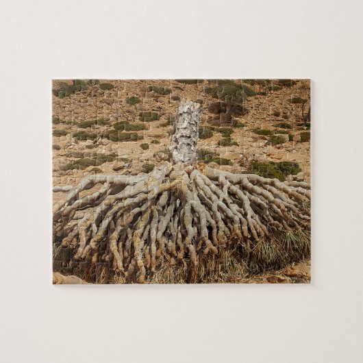Toter Drachenblut-Baum, Socotra, der Jemen Puzzle (Horizontal)