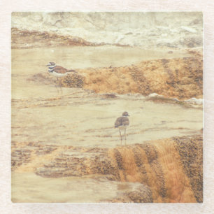 Töter Glasuntersetzer